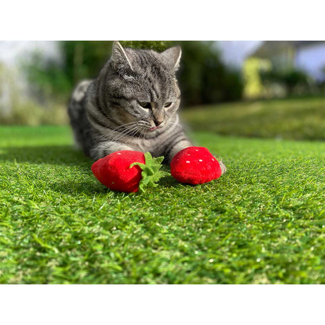 Aumüller Katzenspielkissen Erdbeeren