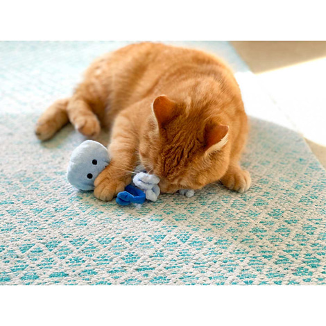 Aumüller Katzenspielkissen Qualle Jelly