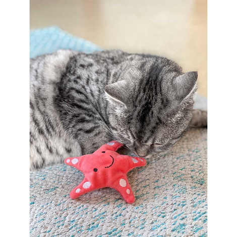 Aumüller Katzenspielkissen Seestern Stella