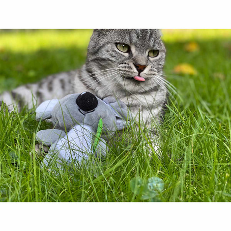 Aumüller Katzenspielzeug Koalabär Jack