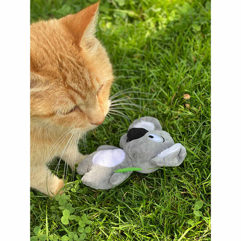 Aumüller Katzenspielzeug Koalabär Jack