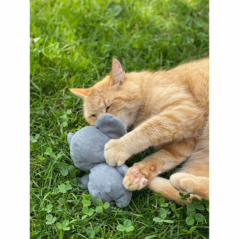 Aumüller Katzenspielzeug Koalabär Jack