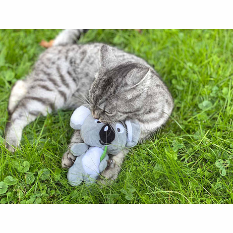 Aumüller Katzenspielzeug Koalabär Jack