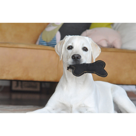 Aumüller Hundespielzeug Knochen schwarz