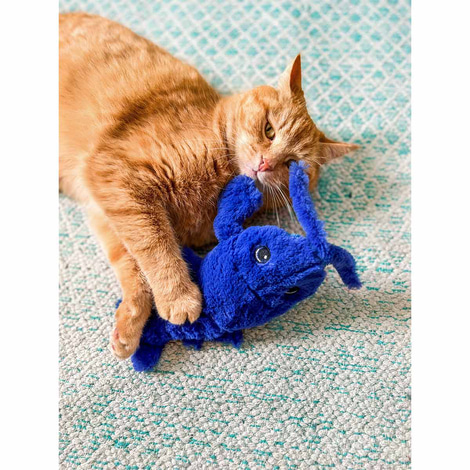 Aumüller Lucky Lobster blau