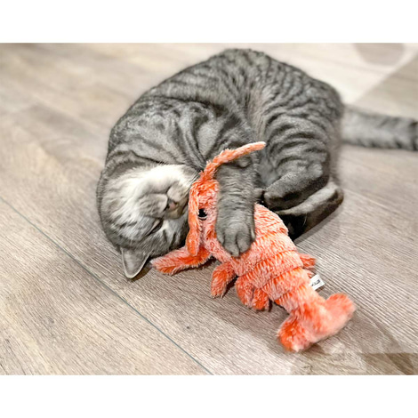 Aumüller Lucky Lobster orange