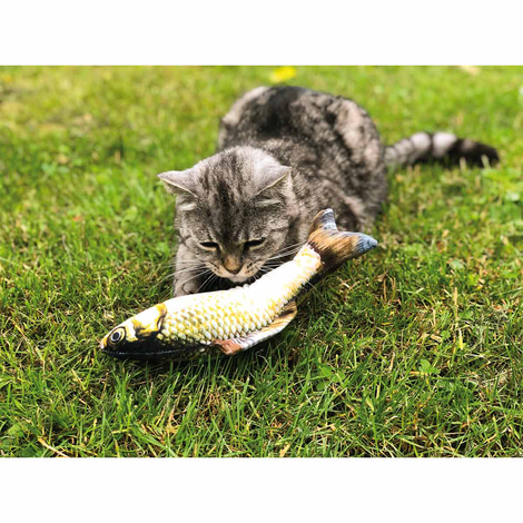 Aumüller Katzenspielkissen Zappel-Karpfen
