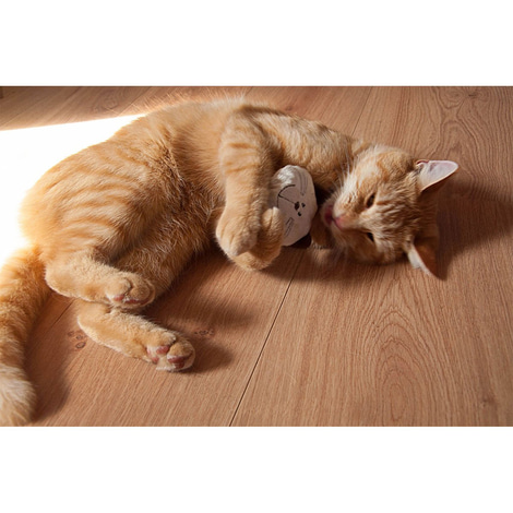 Aumüller Katzenspielkissen mit Baldrian 2er Set - Mini-Willy