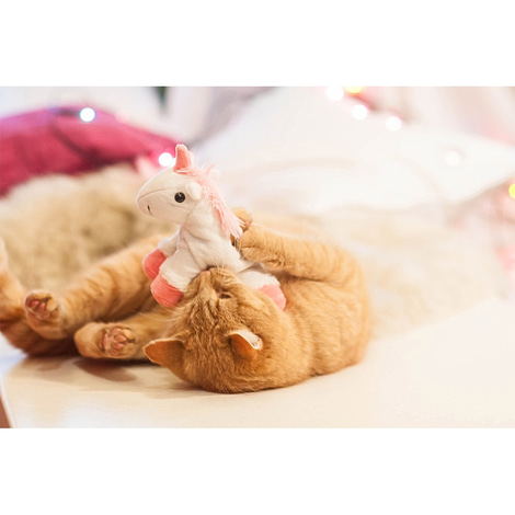 Aumüller Einhorn Katzenspielkissen aus Schmuseplüsch