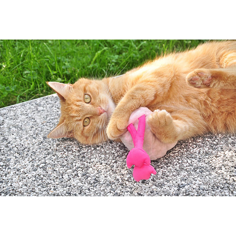 Aumüller Flamingo Pinky mit Baldrian und Dinkelspelz