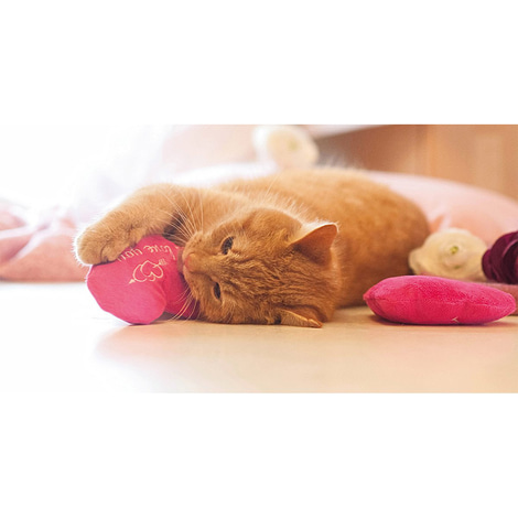 Aumüller Katzenspielkissen I Love You Herz mit Baldrian & Dinkelspelz