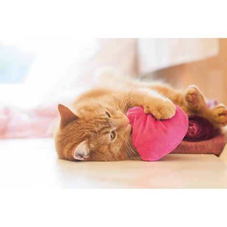 Aumüller Katzenspielkissen I Love You Herz mit Baldrian & Dinkelspelz