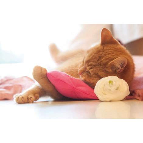 Aumüller Katzenspielkissen I Love You Herz mit Baldrian & Dinkelspelz