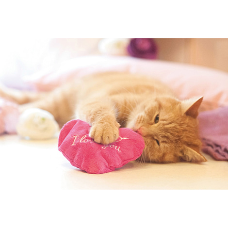 Aumüller Katzenspielkissen I Love You Herz mit Baldrian & Dinkelspelz
