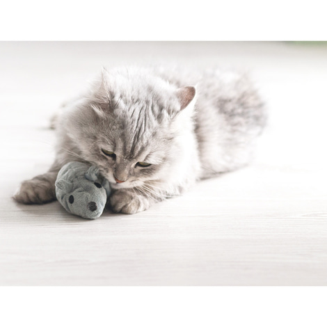 Aumüller Katzenspielzeug Baldi-Maus grau