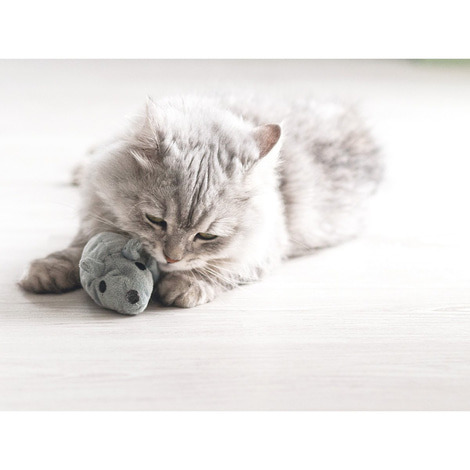 Aumüller Katzenspielkissen Baldi Maus Beige