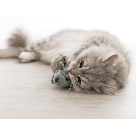 Aumüller Katzenspielzeug Baldi-Maus