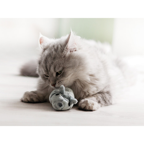 Aumüller Katzenspielkissen Baldi Maus Beige