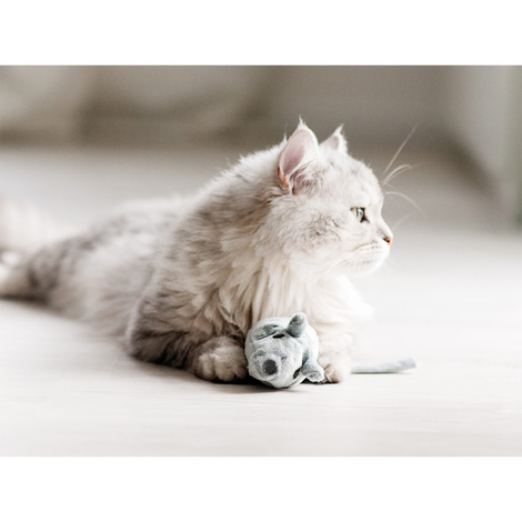 Aumüller Katzenspielkissen Baldi Maus Beige