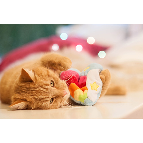 Aumüller Regenbogen Herz Katzenspielkissen aus Schmuseplüsch