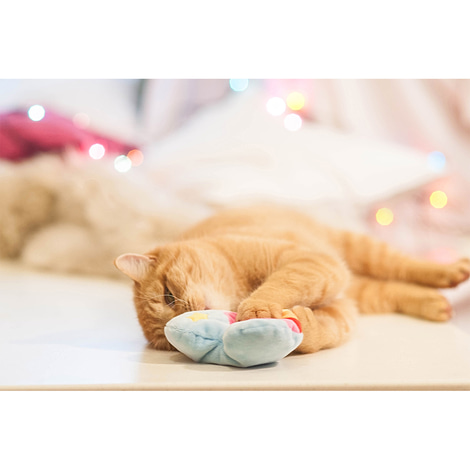 Aumüller Regenbogen Herz Katzenspielkissen aus Schmuseplüsch