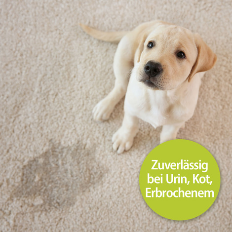 Bactador Geruchs- und Fleckenentferner Spray