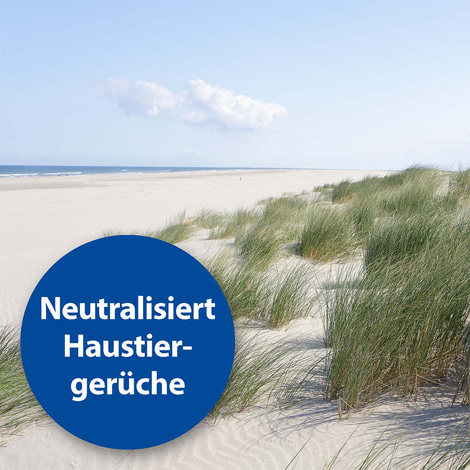 Bactazol Geruchsentferner 80ml