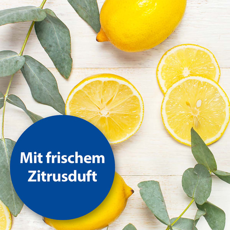 Bactazol Universalreiniger 500ml