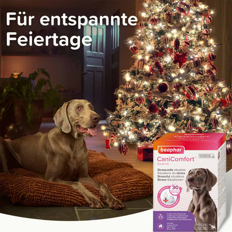 beaphar CaniComfort® Starter-Kit für Hunde