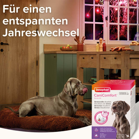 beaphar CaniComfort® Starter-Kit für Hunde