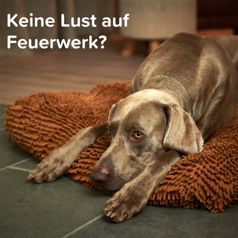 beaphar CaniComfort® Starter-Kit für Hunde