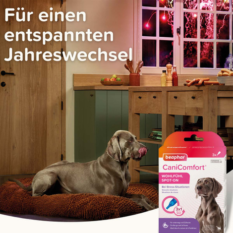 beaphar CaniComfort® Wohlfühl Spot On 3x1ml