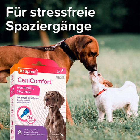 beaphar CaniComfort® Wohlfühl Spot On 3x1ml