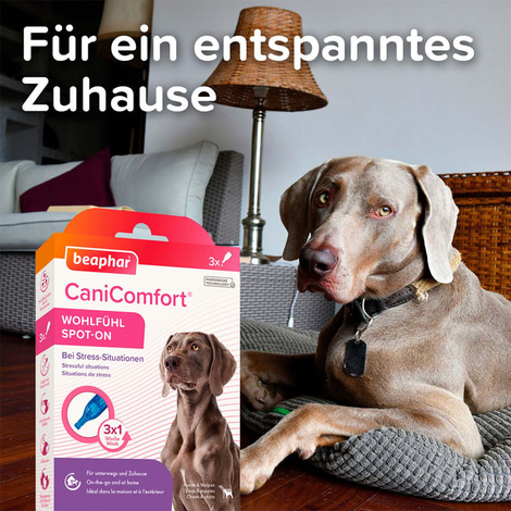 beaphar CaniComfort® Wohlfühl Spot On 3x1ml