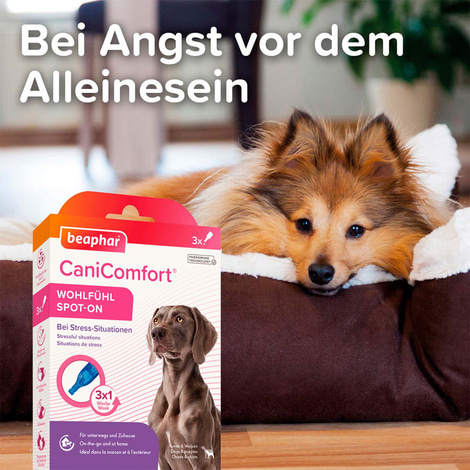 beaphar CaniComfort® Wohlfühl Spot On 3x1ml