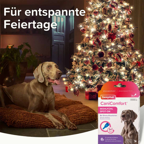 beaphar CaniComfort® Wohlfühl Spot On 3x1ml
