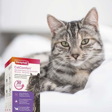 beaphar CatComfort Starter-Kit
