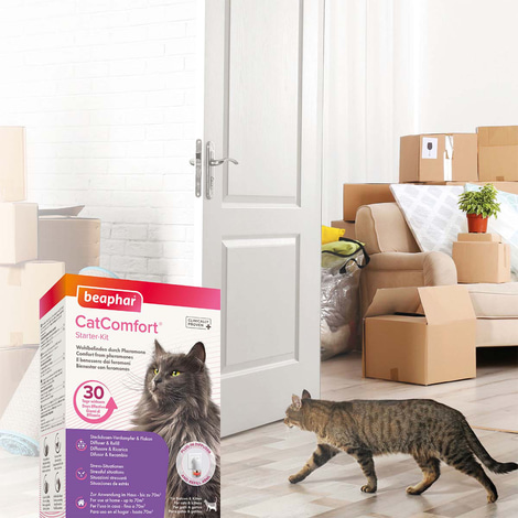 beaphar CatComfort Starter-Kit