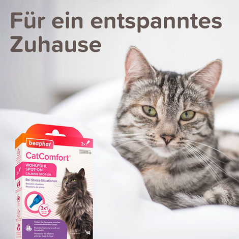 beaphar CatComfort® Wohlfühl Spot-On 3x0,55ml