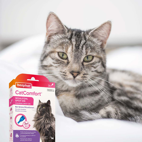 beaphar CatComfort® Wohlfühl Spot-On 3x0,55ml