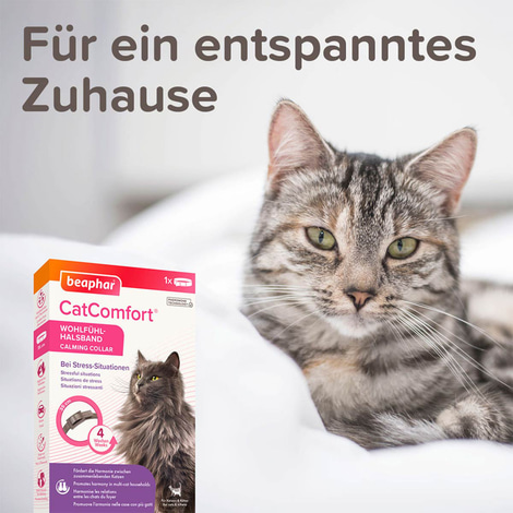 beaphar CatComfort® Wohlfühl Halsband
