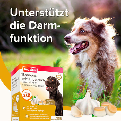 beaphar Knoblauch Bonbons 245g
