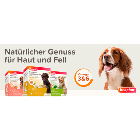 beaphar Knoblauch Bonbons 245g