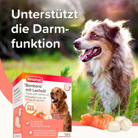 beaphar Lachsöl Bonbons 245g
