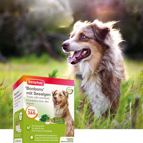 beaphar Seetang Bonbons 245g