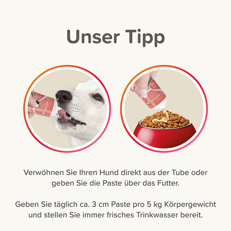 beaphar Lachsöl Paste Hund 100g