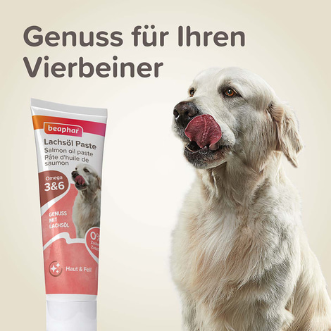 beaphar Lachsöl Paste Hund 100g