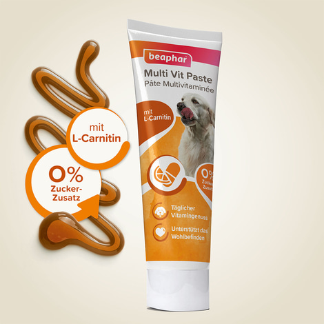 beaphar Multi-Vitamin-Paste für Hunde 250g