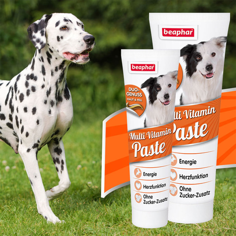 beaphar Multi-Vitamin-Paste für Hunde 250g