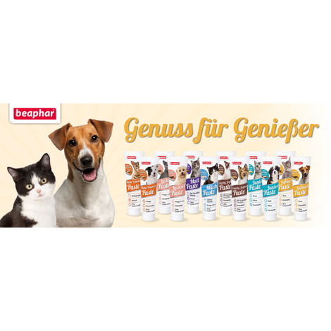 beaphar Multi-Vitamin-Paste für Hunde 250g
